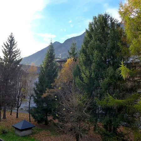 Jonquilles-10 By Interhome *